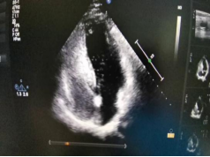 1711018678108312.png image.png